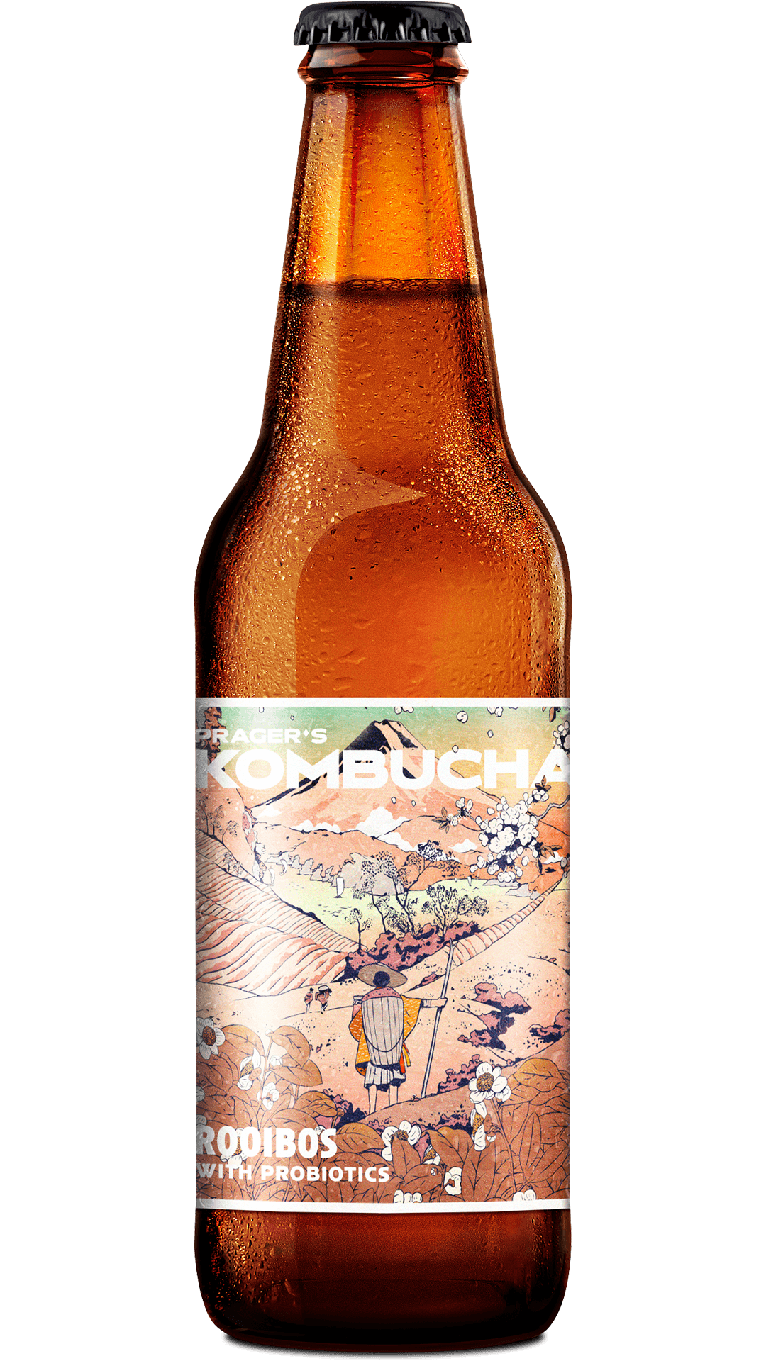 Lahev Pragers Kombucha
