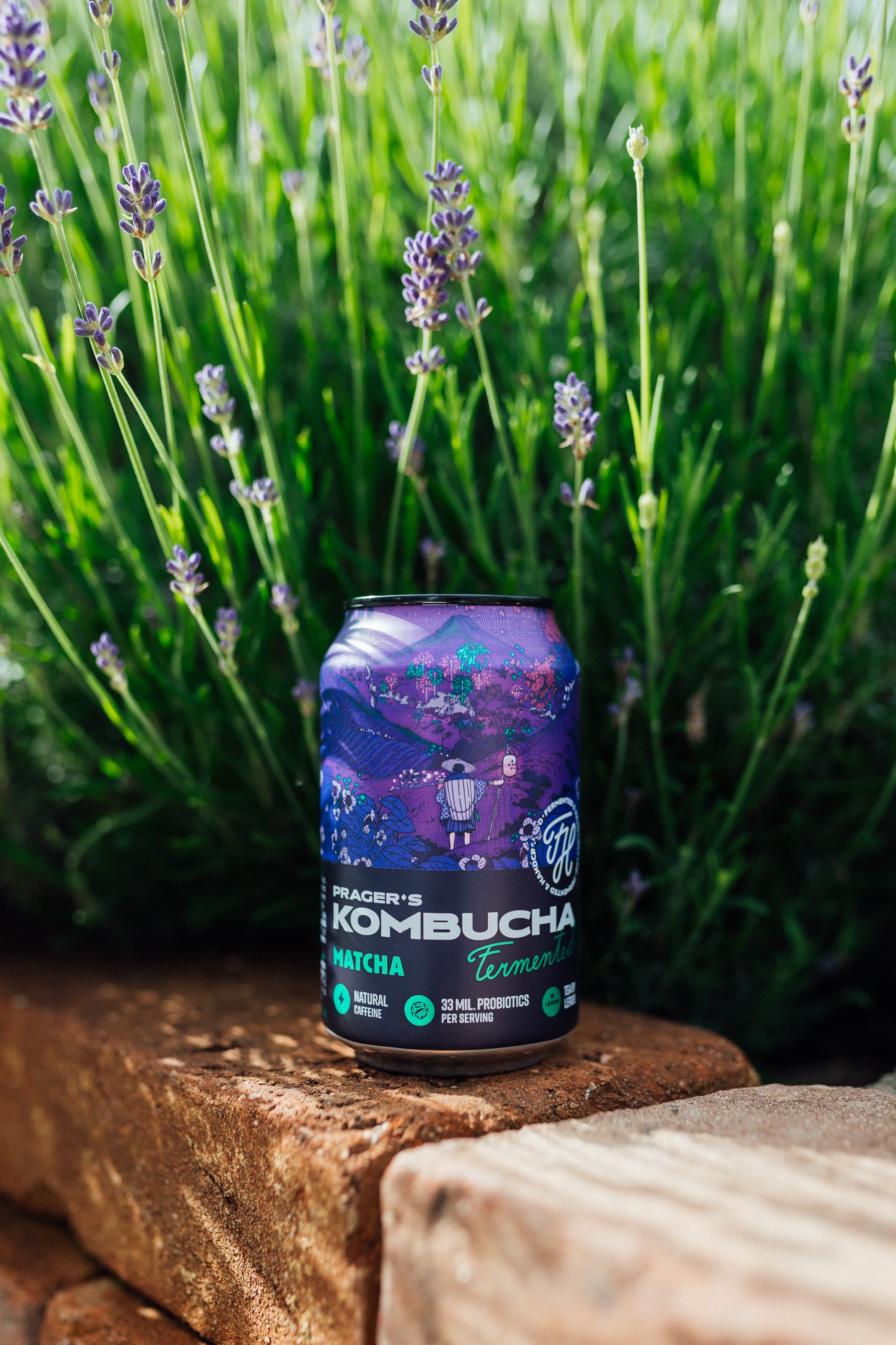 Taste
Proper tea flavor balanced with the natural sweet-sour kick of fermentation. Clear, smooth, and nothing like the kombucha you’re used to.