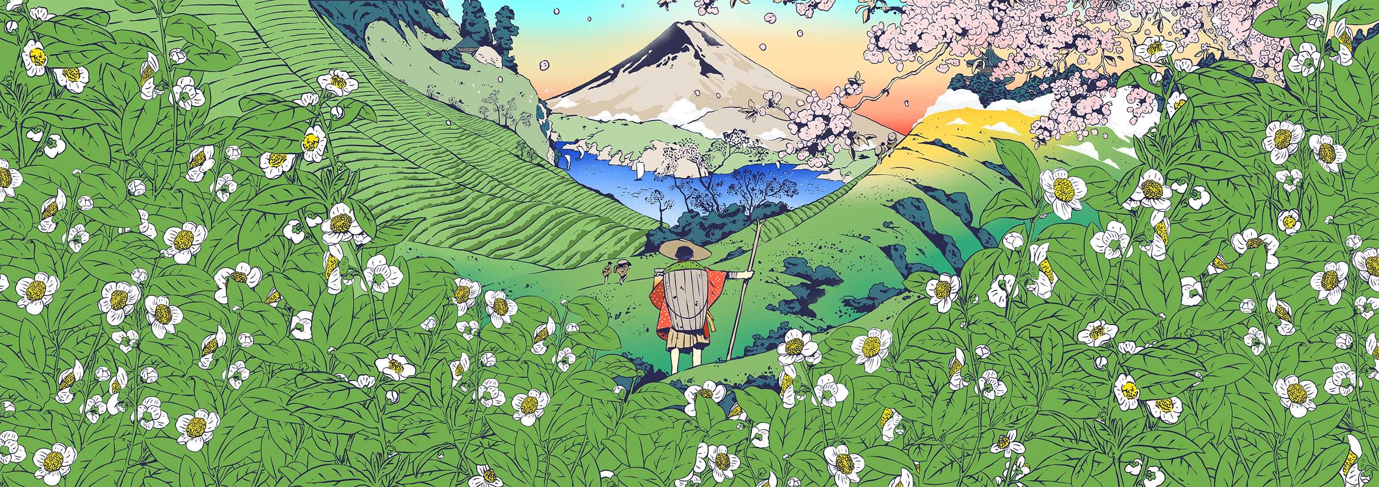 kombucha  Illustration